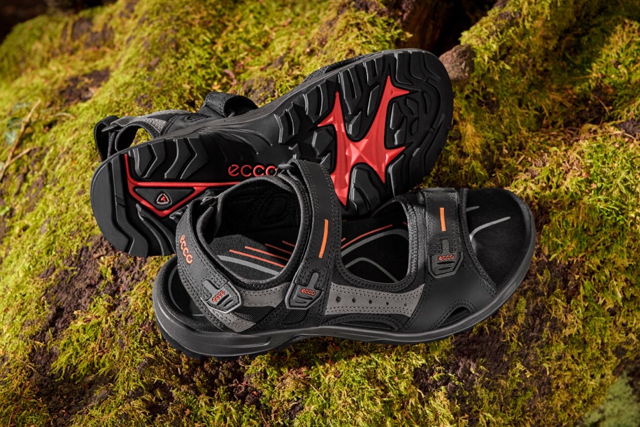 Catalog-إنه الصيف المثالي